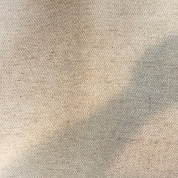 Pet Accent Rug - Picture 12 of 14